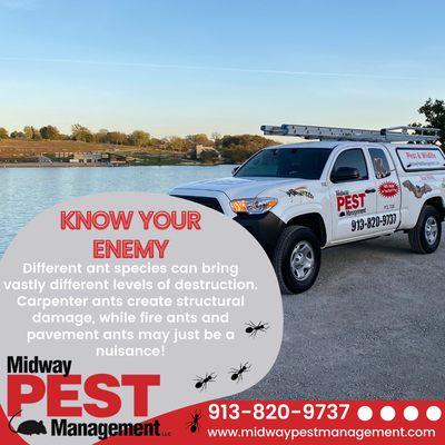 Midway Pest Management