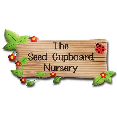 Seed Cupboard Nursery