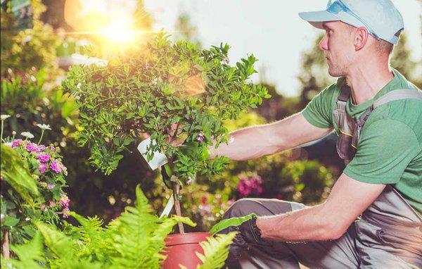 Manuel's Landscaping