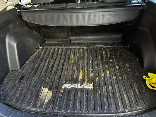 Pg Automotive Detailer