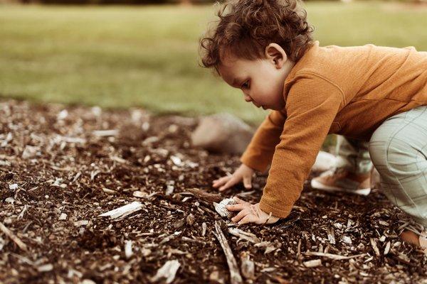 Sweet January Photography