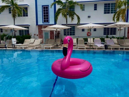 Pestana Miami South Beach