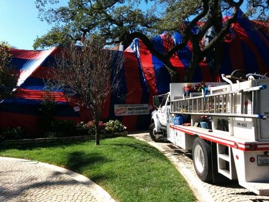 Dewey Pest & Termite Control