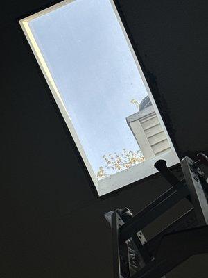 W & W Handyman Services