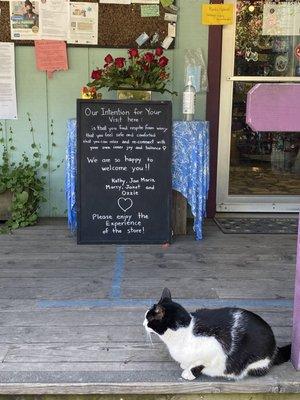 Greeted by the cutest cat in front of the shop!