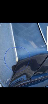 Genesis Paint & Collision Center