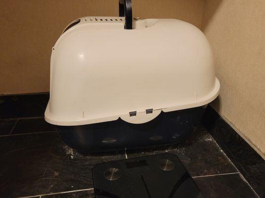 BLT Cleaning Service