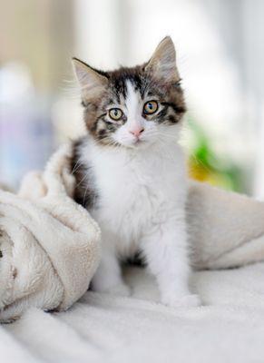 Beautiful Together Animal Sanctuary