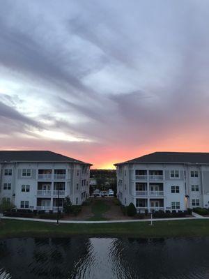 The Iris at Northpointe