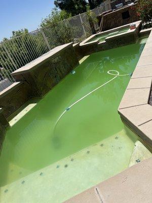 Division 1 Pool Service