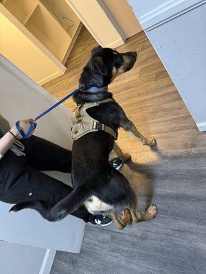 High Desert Animal Care Hospital