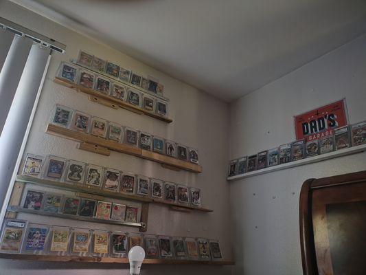 MT Pokemon&Cards