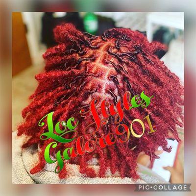 Loc Styles Galore 901