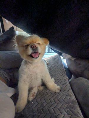 Even Macho gets his back adjusted.