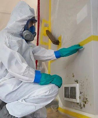 Najera Environmental