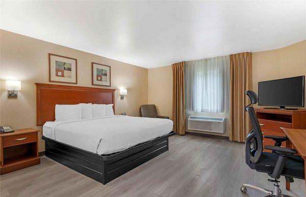 Studio Suite - 1 King Bed