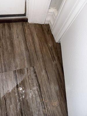 Fairfield Tudor at North Babylon