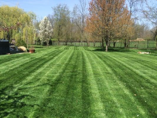 Select Lawn Services