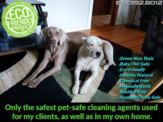 Only the safest pet-safe green carpet cleaning Scripps Ranch. Non toxic, chem free, eco friendly, hypoallergenic, natural organic process.