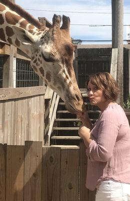 Lisa James 850-209-6864