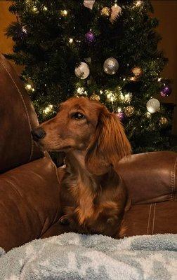 Ray County Animal Hospital