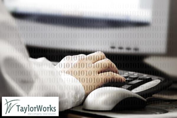 TaylorWorks Business IT Services, Inc.