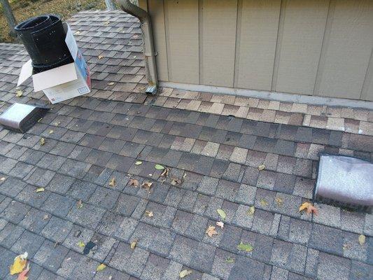 The Trusted Professional