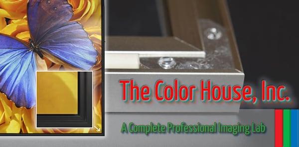The Color House Miami