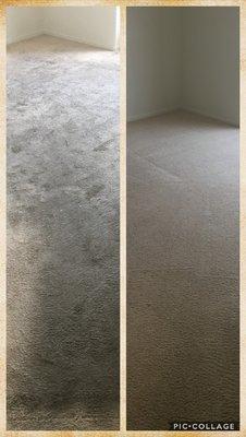 All Access Carpet Cleaning & Janitorial Services