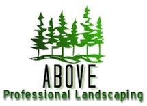 Above Professional Landscaping