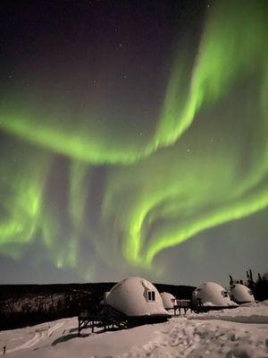 Borealis Basecamp