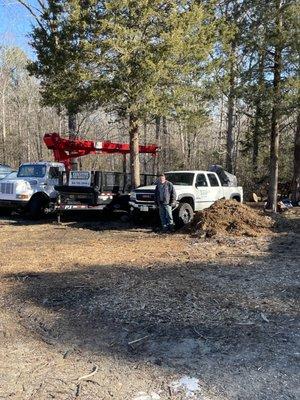 Executive Tree Service