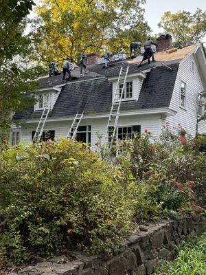 Peak team ROCKED it!