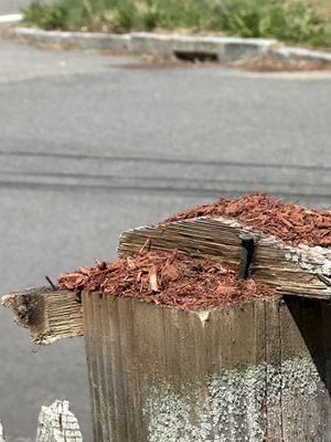 Rhudd's Landscape & Design