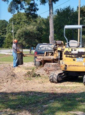 Bateman's Tree Service