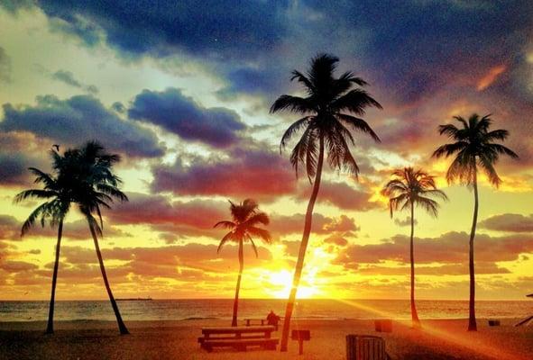 Beautiful Fort lauderdale