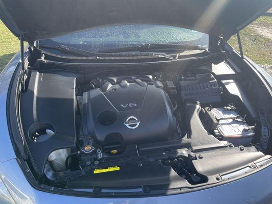 Phantom Detailing 717