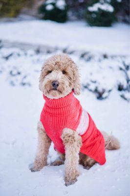 Mallory Green Photography