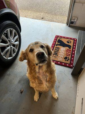 All Animals Veterinary Hospital