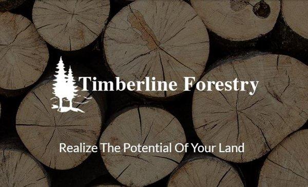 Timberline Forestry