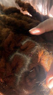 The Art of Barbering