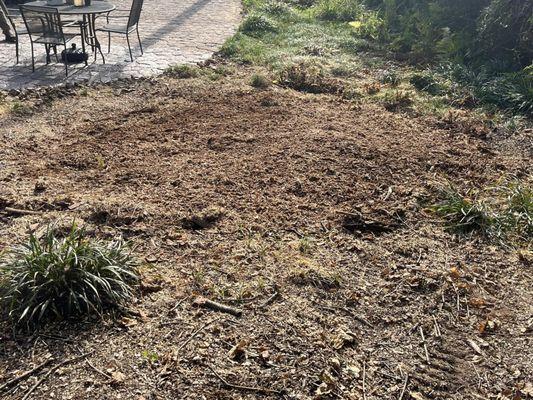 Lyles Stump Removal and Services