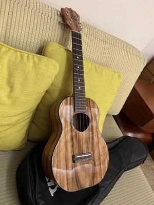 Ukulele Puapua