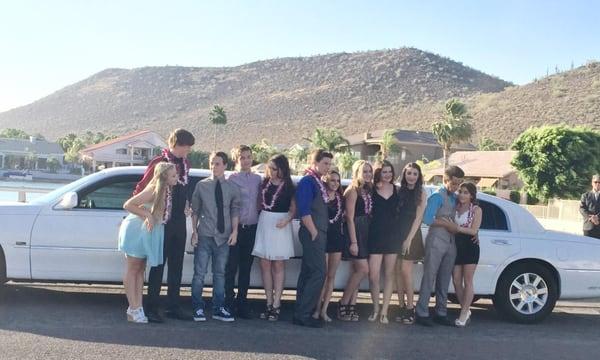 Mountain View Limousines