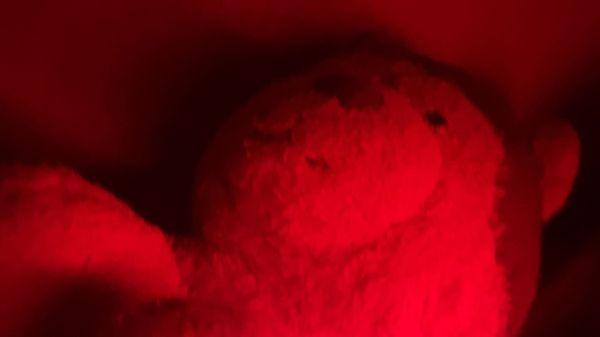 Verandas at Bear Creek