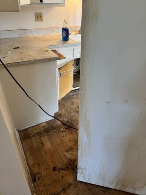 JT’S Cleaning Service