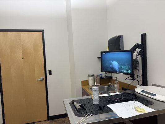 Cathedral Animal Hospital