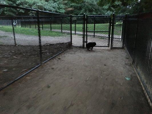 Saratoga Springs Dog Park