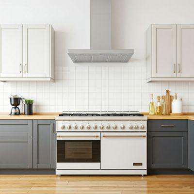 Oven and Hood Repair