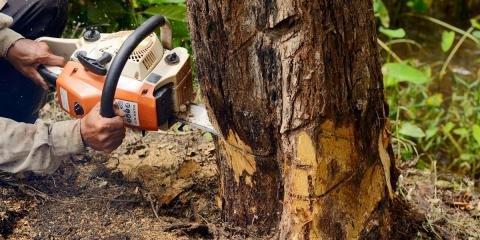 Bobby Branch & Sons Tree Removal